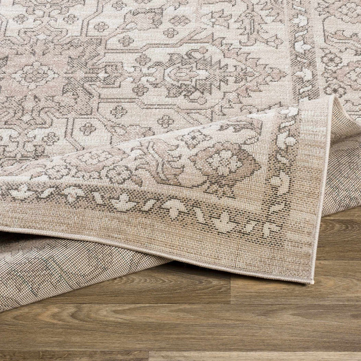 Frenchburg Traditional Style Beige Area Rug