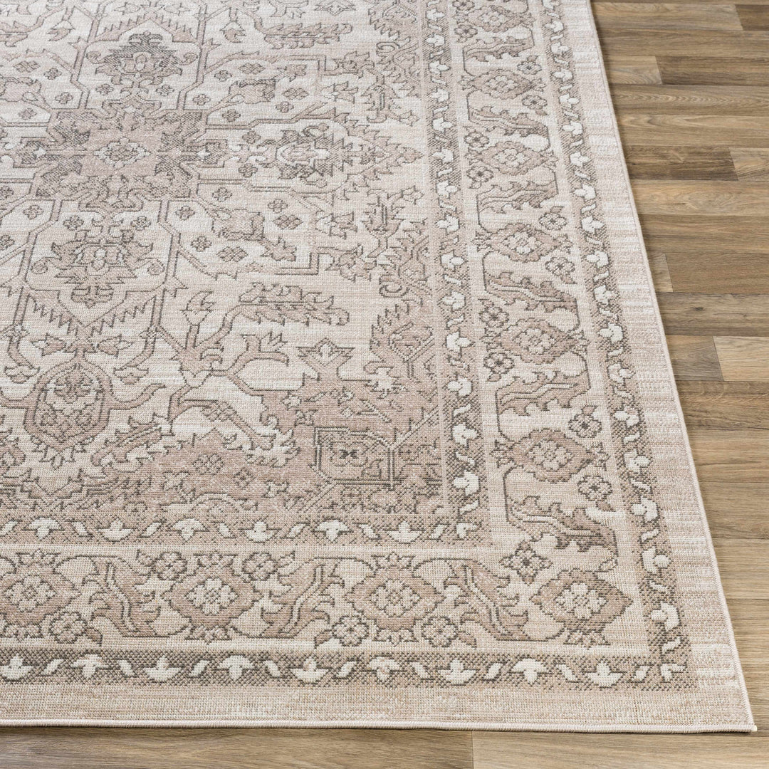 Frenchburg Traditional Style Beige Area Rug