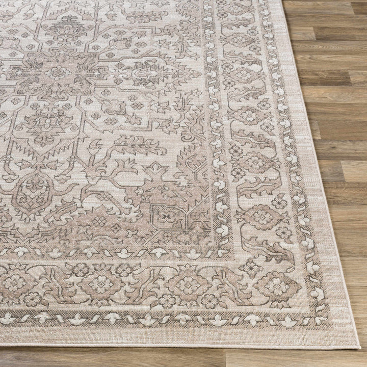 Frenchburg Traditional Style Beige Area Rug