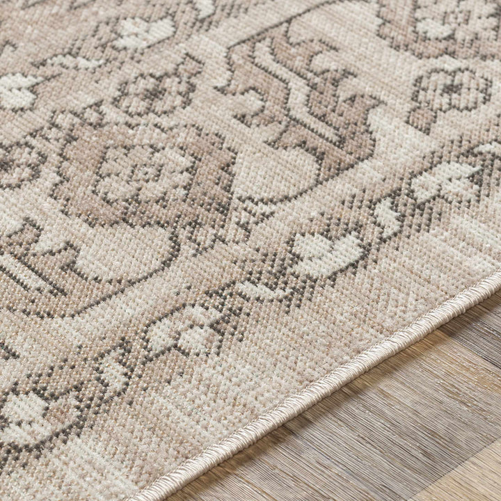 Frenchburg Traditional Style Beige Area Rug