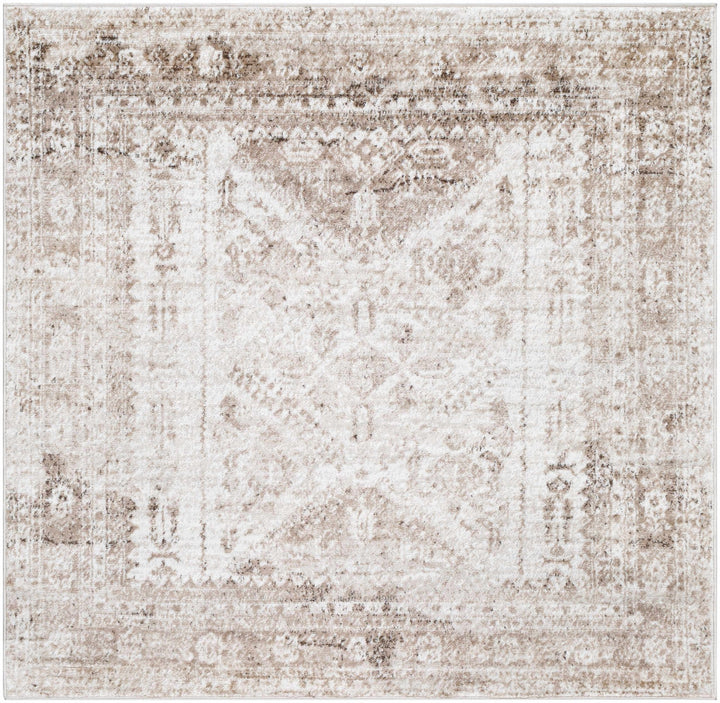 Gali Traditional Distress Brown And Ivory Rug - The Rug Decor