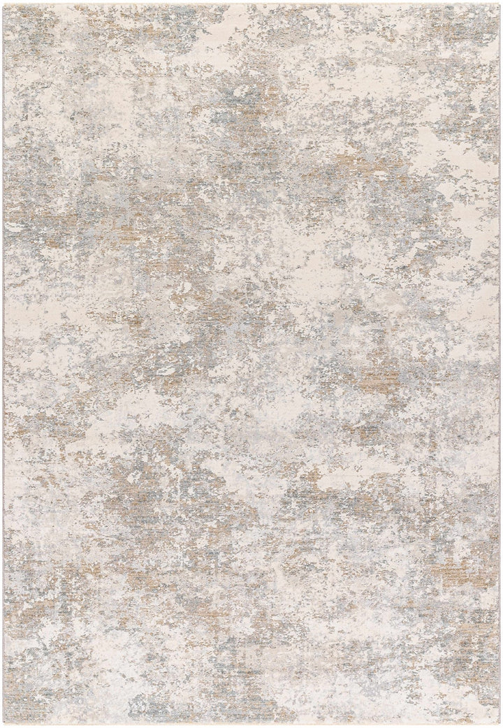 Ganit Beige And Gray Contemporary Abstract Design Rug - The Rug Decor