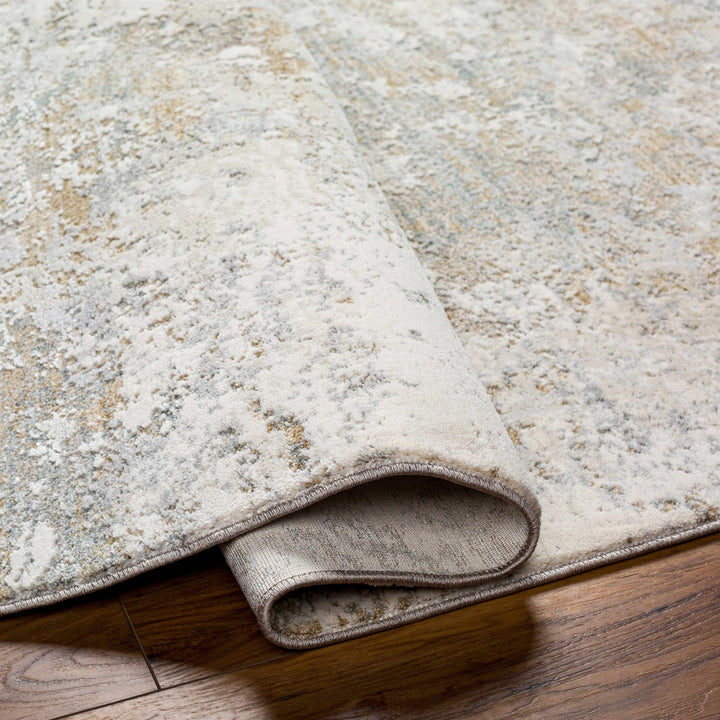 Ganit Beige And Gray Contemporary Abstract Design Rug - The Rug Decor