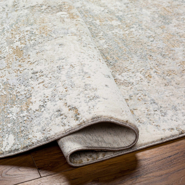 Ganit Beige And Gray Contemporary Abstract Design Rug