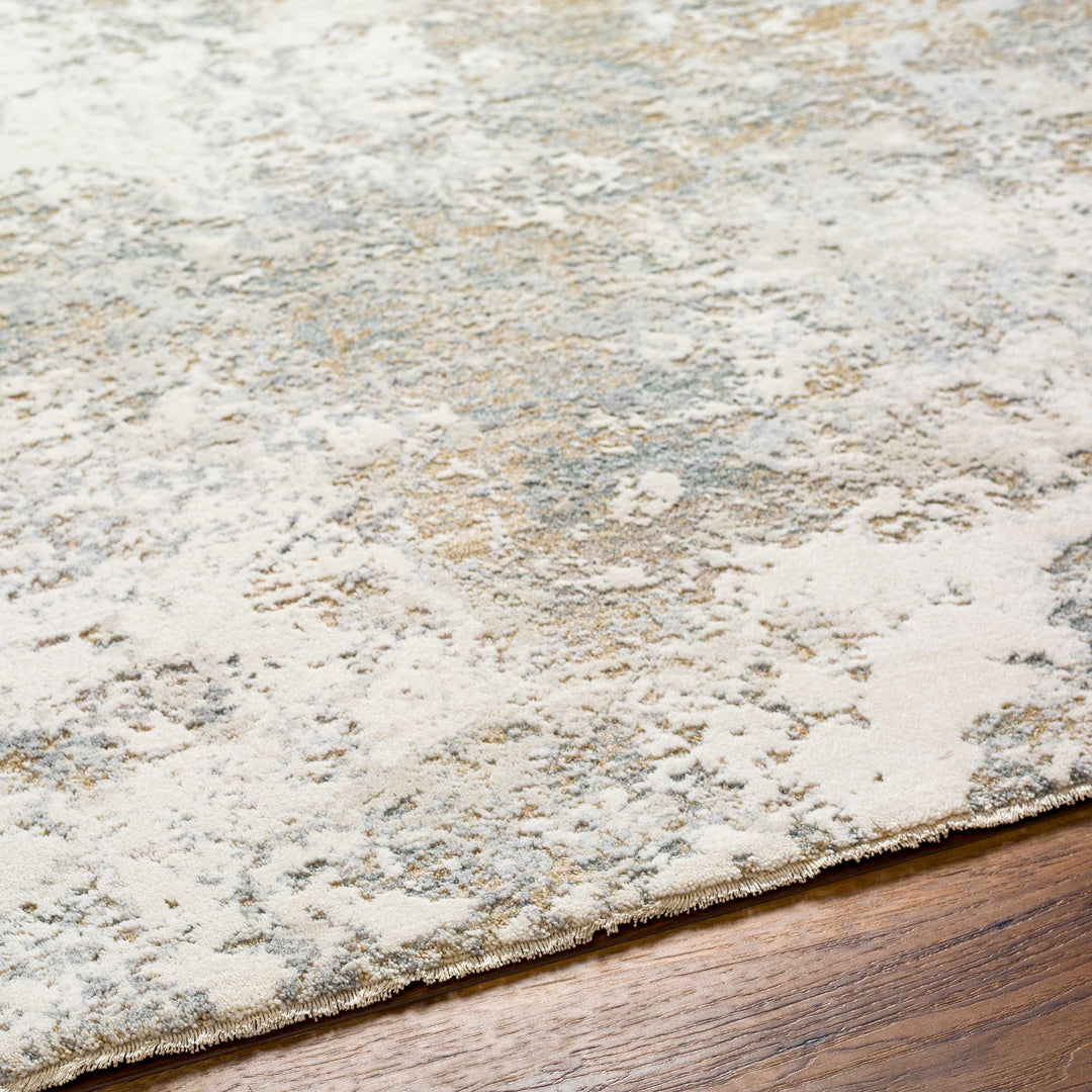Ganit Beige And Gray Contemporary Abstract Design Rug