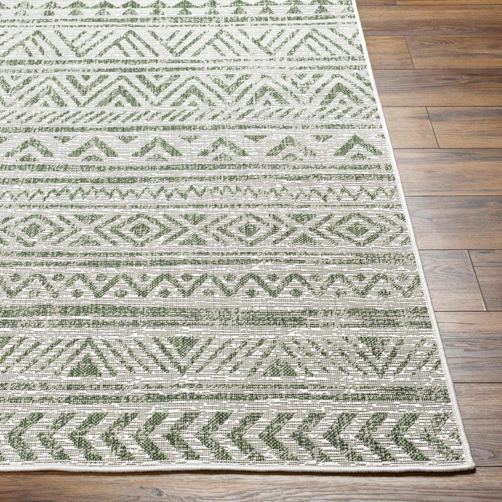 Novato Modern Geometric Design Green Outdoor Rug