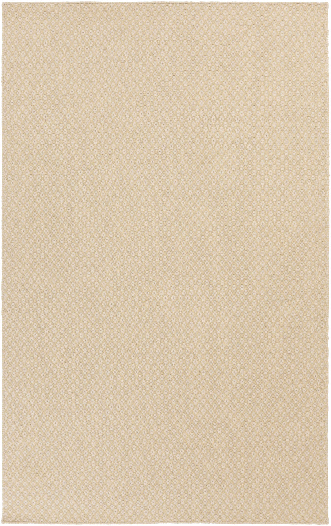 Gheen Modern Style Beige Hand Woven Area Rug