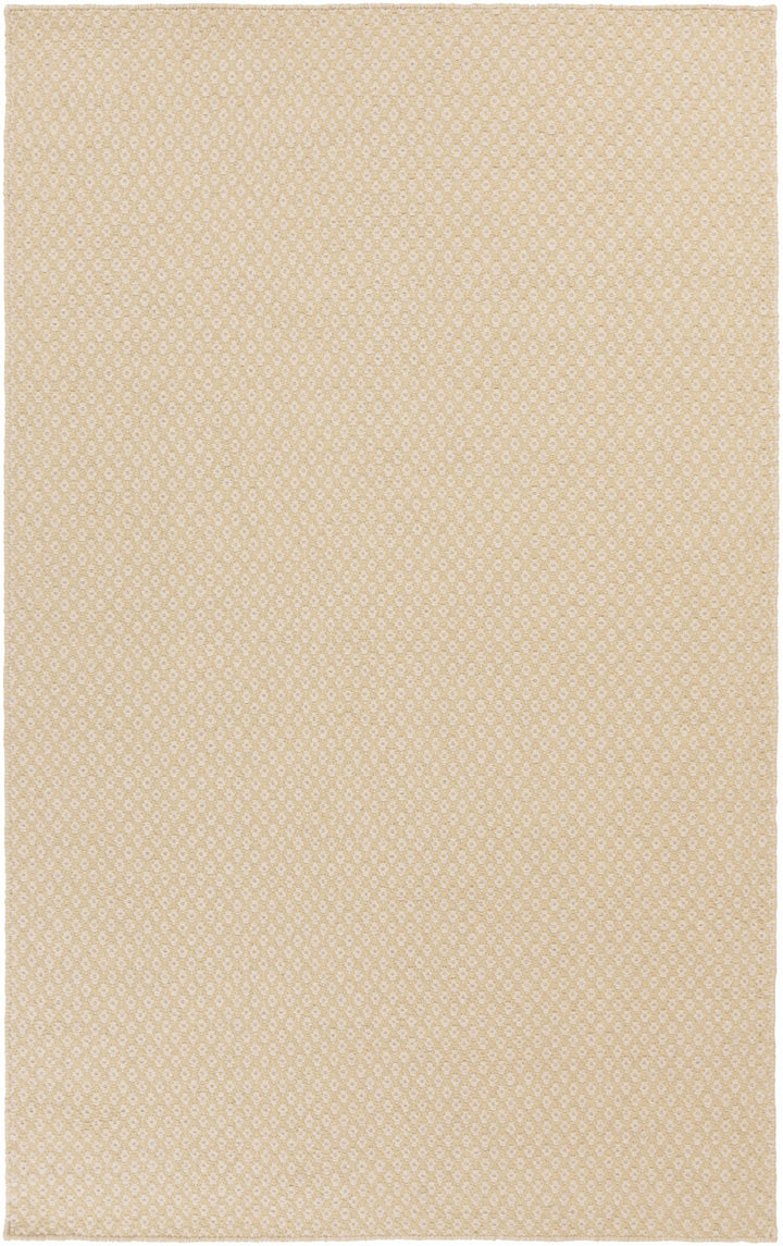 Gheen Modern Style Beige Hand Woven Area Rug