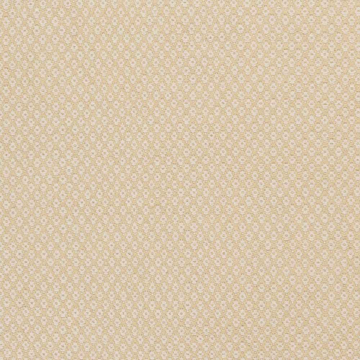 Gheen Modern Style Beige Hand Woven Area Rug - The Rug Decor