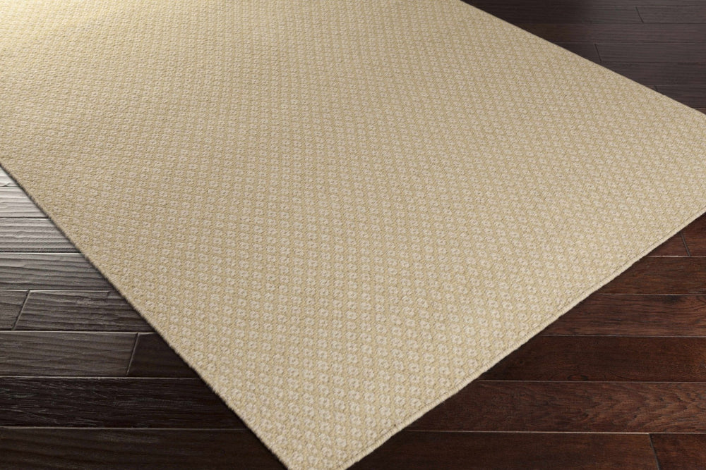 Gheen Modern Style Beige Hand Woven Area Rug - The Rug Decor