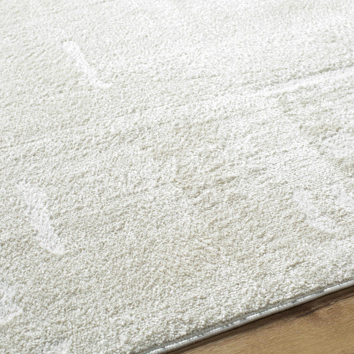 Winda Ivory Modern Solid Design Area Rug