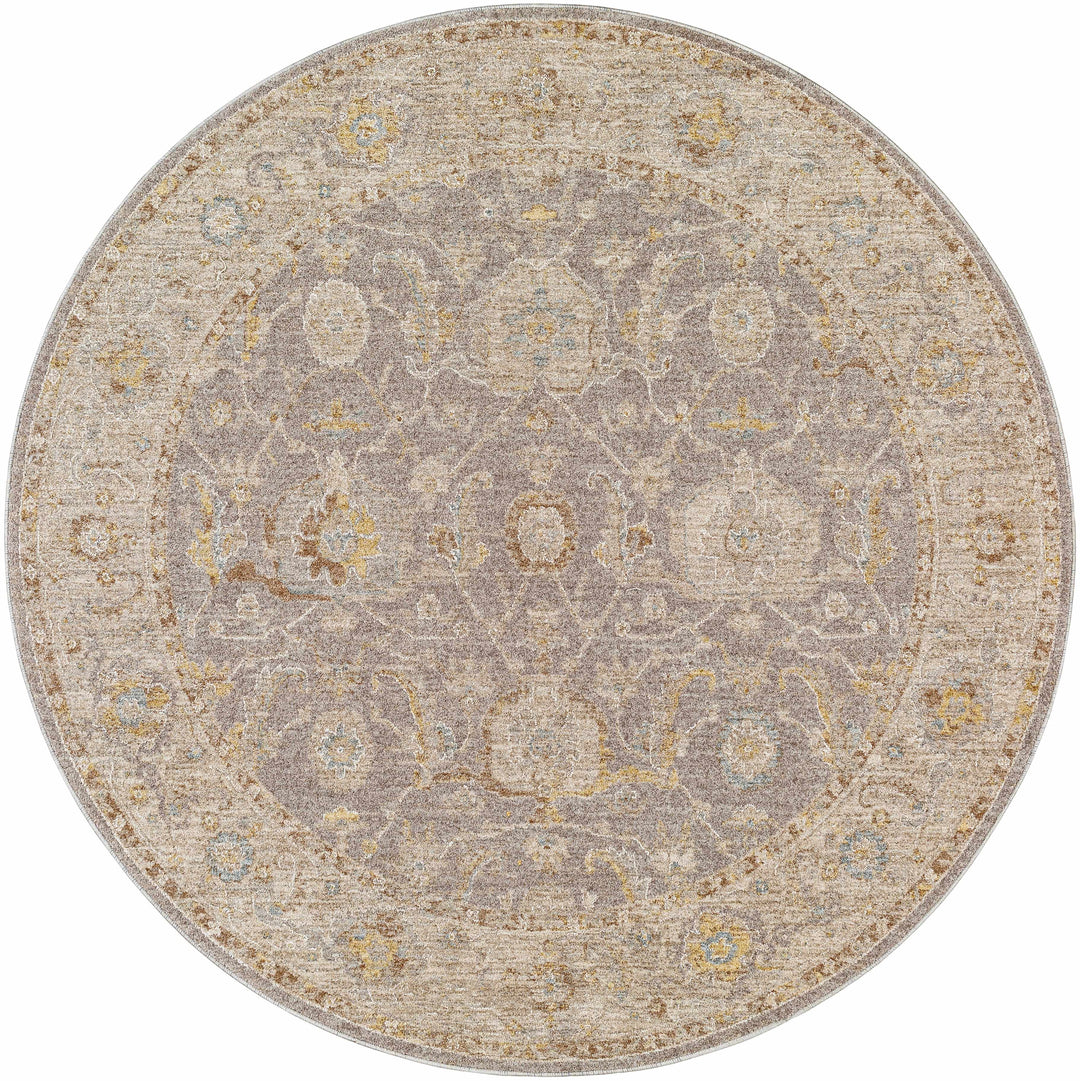 Giang Traditional Gray And Beige Area Rug