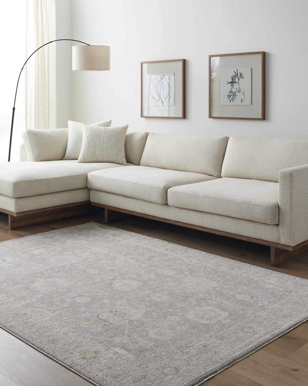 Giang Traditional Gray And Beige Area Rug