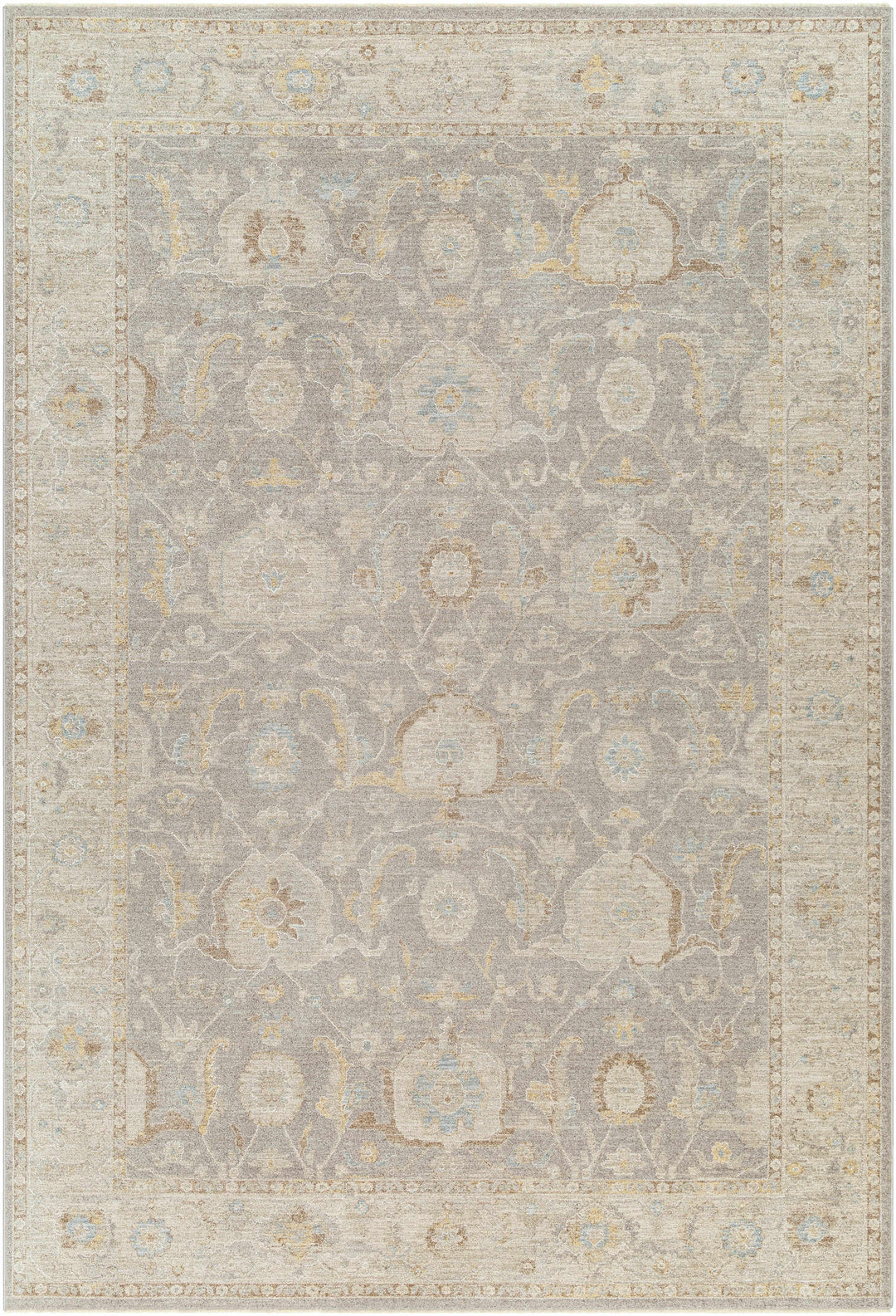 Giang Traditional Gray And Beige Area Rug