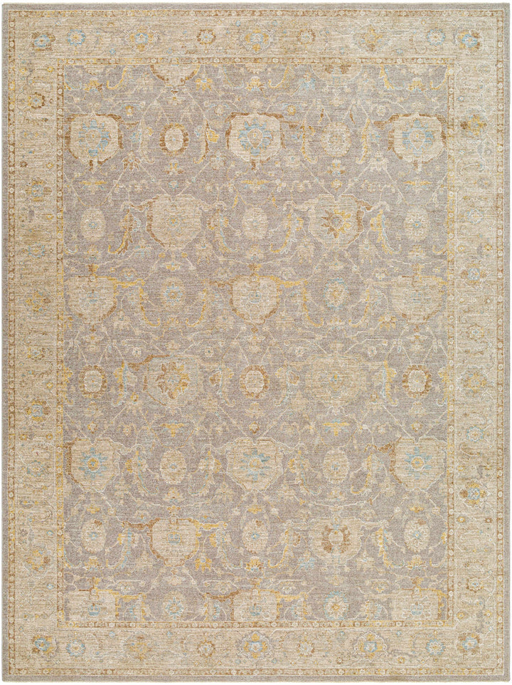Giang Traditional Gray And Beige Area Rug