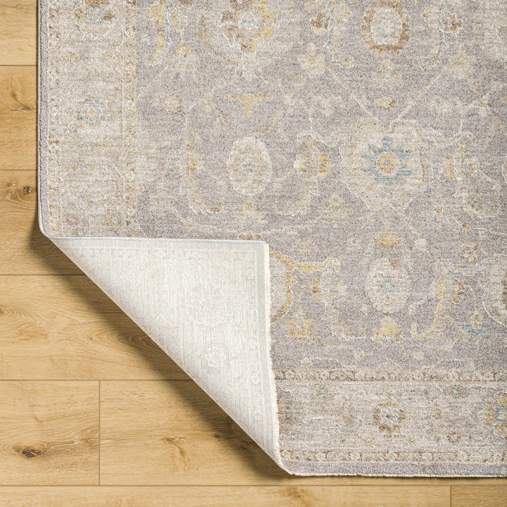Giang Traditional Gray And Beige Area Rug