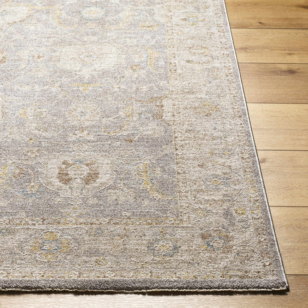 Giang Traditional Gray And Beige Area Rug