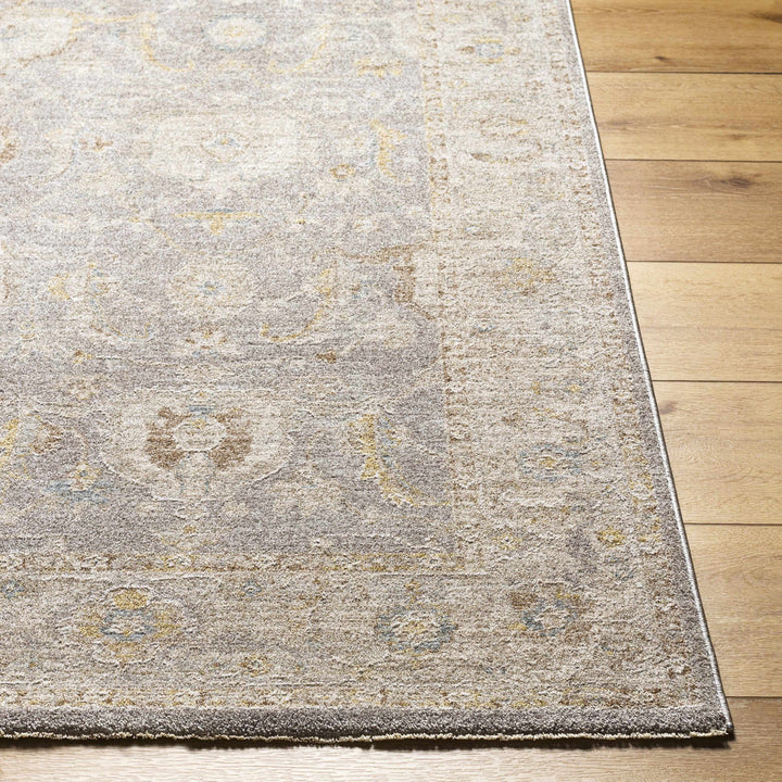 Giang Traditional Gray And Beige Area Rug