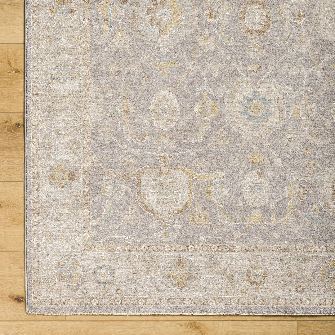Giang Traditional Gray And Beige Area Rug