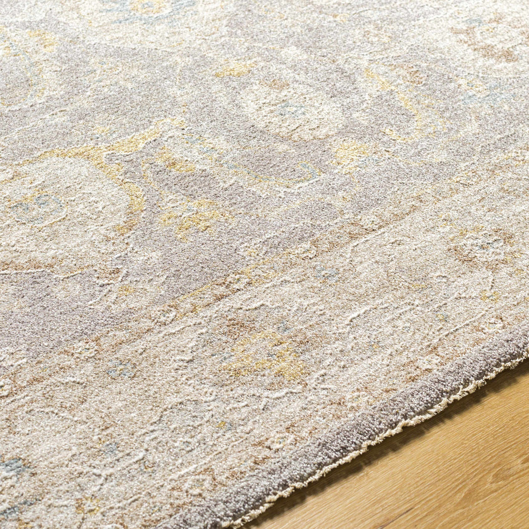 Giang Traditional Gray And Beige Area Rug