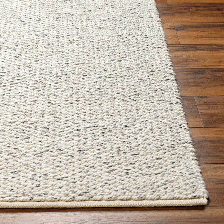 Gilad Contemporary Gray And Beige Area Rug - The Rug Decor