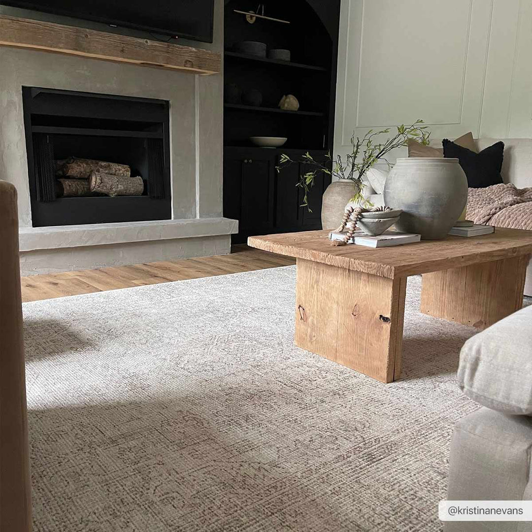 Ginny Traditional Style Beige Area Rug - The Rug Decor