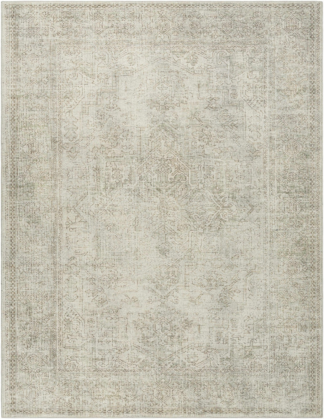 Ginny Traditional Style Beige Area Rug - The Rug Decor