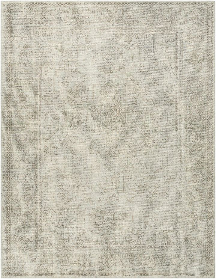 Ginny Traditional Style Beige Area Rug - The Rug Decor