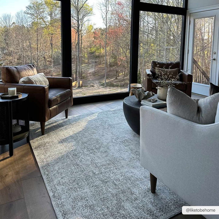 Ginny Traditional Style Beige Area Rug - The Rug Decor
