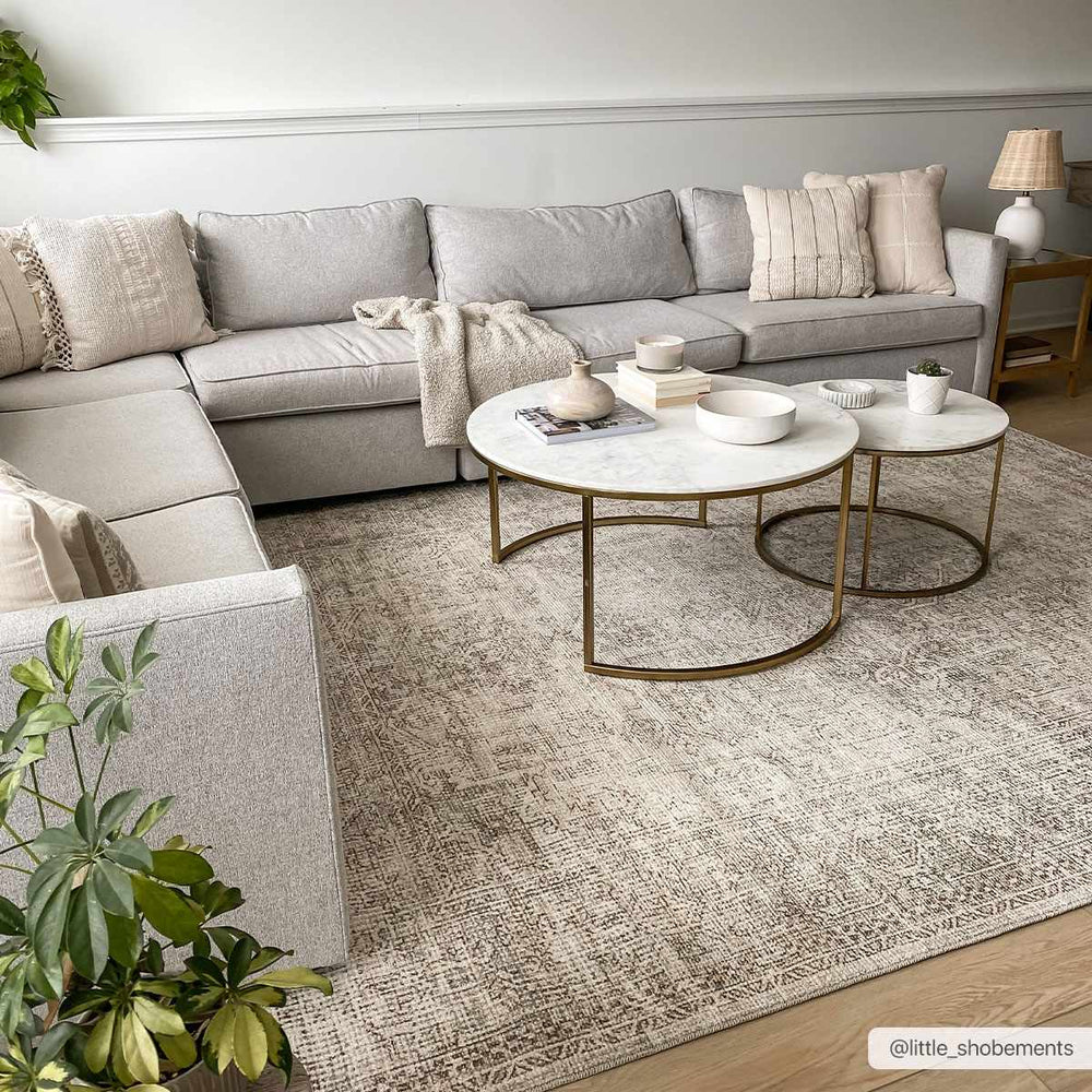 Ginny Traditional Style Beige Area Rug - The Rug Decor