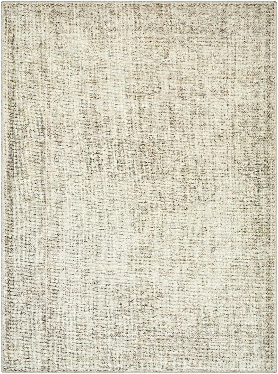 Ginny Traditional Style Beige Area Rug - The Rug Decor