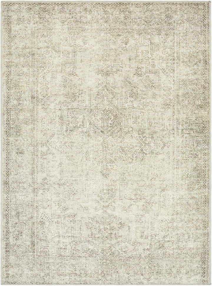 Ginny Traditional Style Beige Area Rug - The Rug Decor