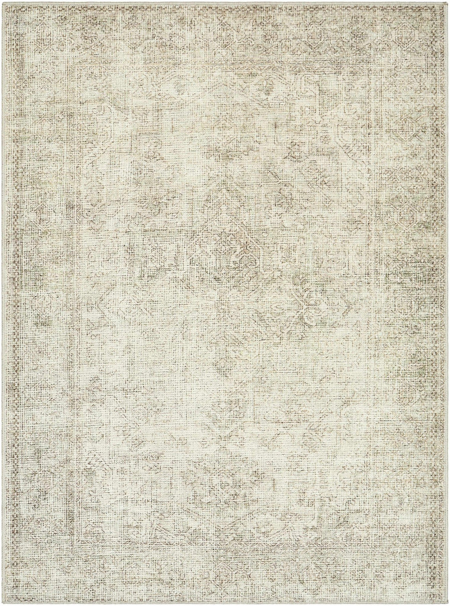 Ginny Traditional Style Beige Area Rug - The Rug Decor