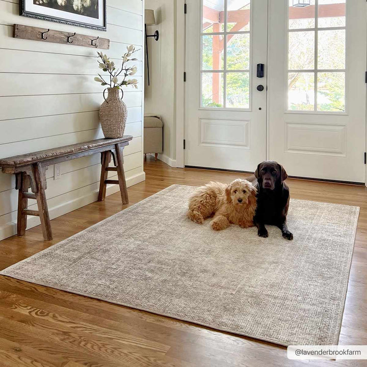 Ginny Traditional Style Beige Area Rug - The Rug Decor