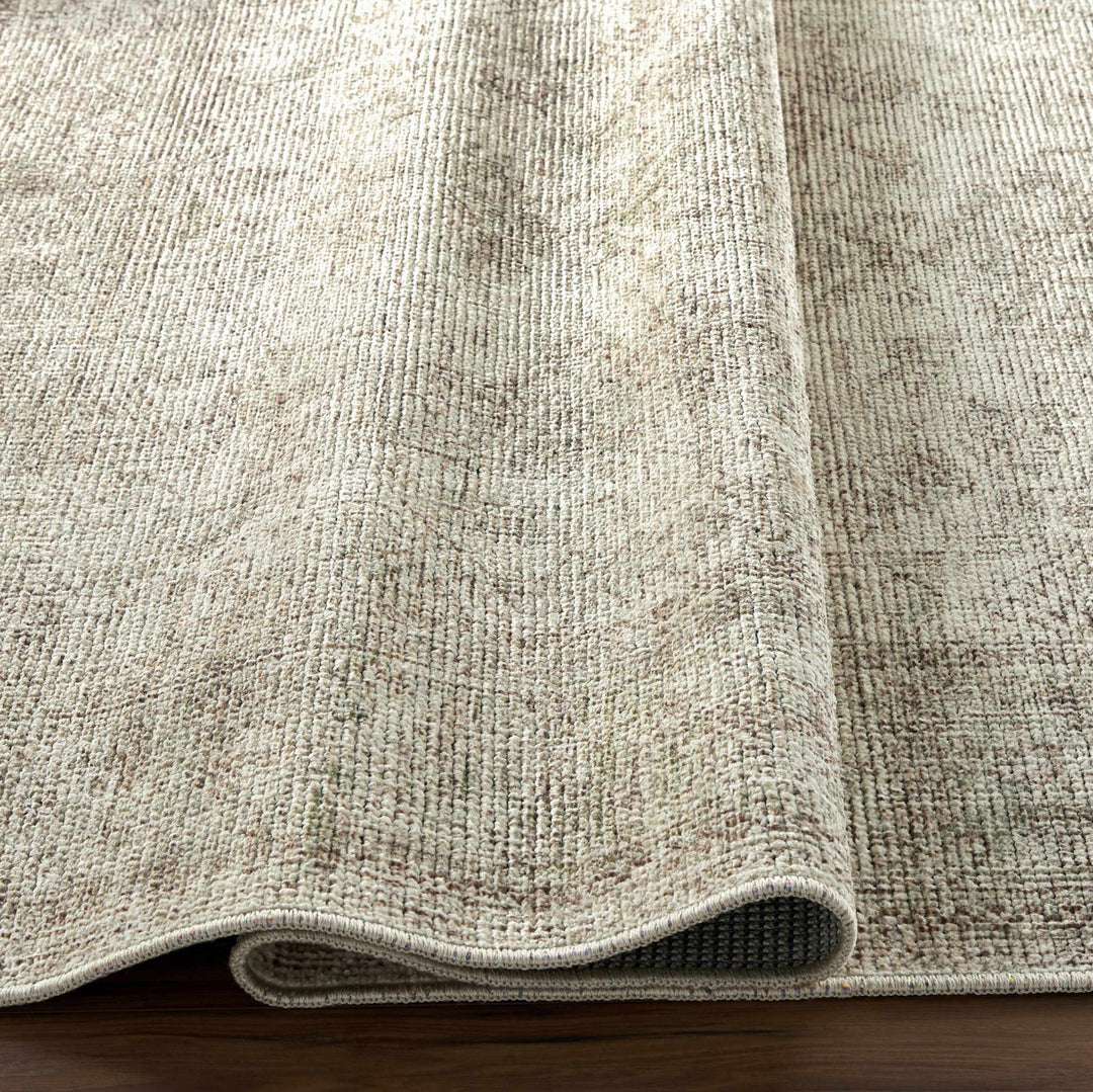 Ginny Traditional Style Beige Area Rug - The Rug Decor