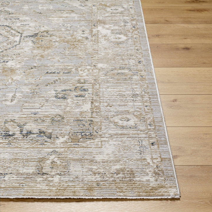 Gioia Traditional Style Beige And Gray Area Rug - The Rug Decor