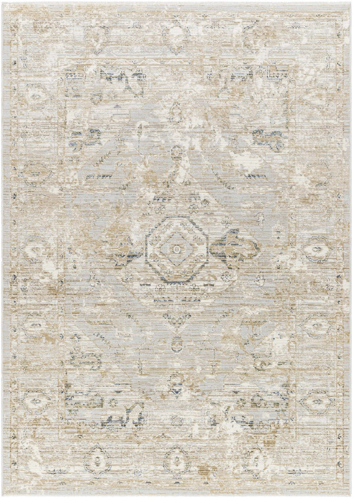 Gioia Traditional Style Beige And Gray Area Rug - The Rug Decor