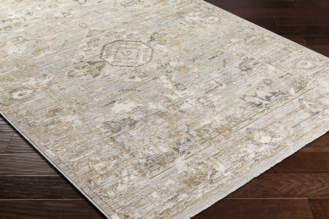 Gioia Traditional Style Beige And Gray Area Rug - The Rug Decor