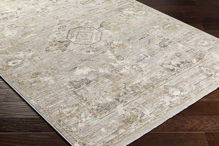 Gioia Traditional Style Beige And Gray Area Rug - The Rug Decor
