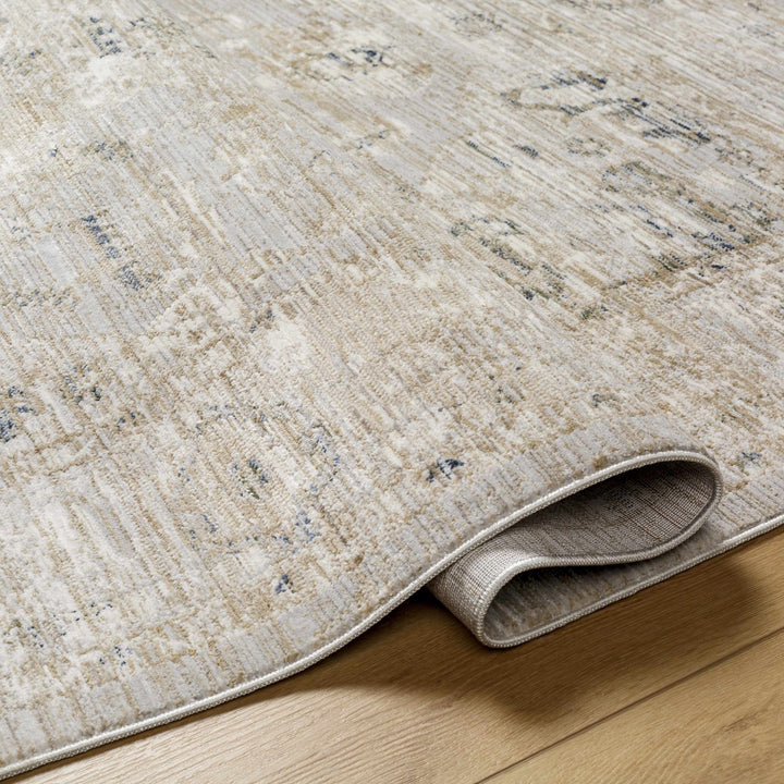 Gioia Traditional Style Beige And Gray Area Rug - The Rug Decor