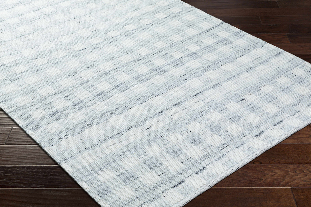 Garth Modern Style Ivory Hand Woven Wool Area Rug