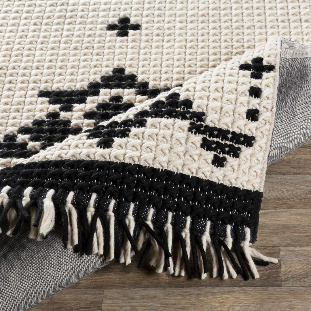 Glenorie Modern Style Ivory And Black Hand Woven Area Rug - The Rug Decor