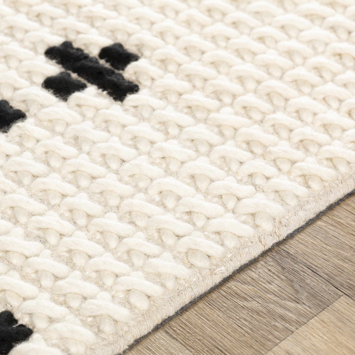 Glenorie Modern Style Ivory And Black Hand Woven Area Rug