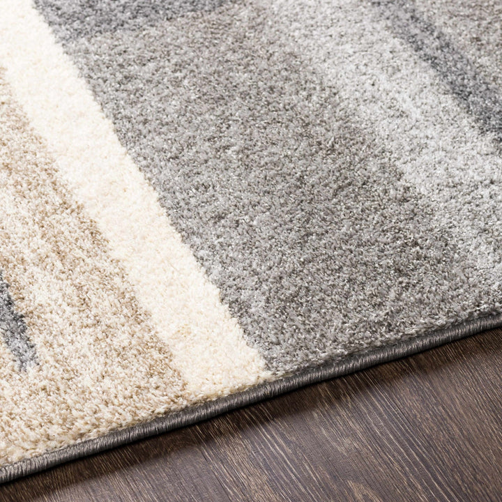Glouster Beige And Gray Modern Style Area Rug - The Rug Decor