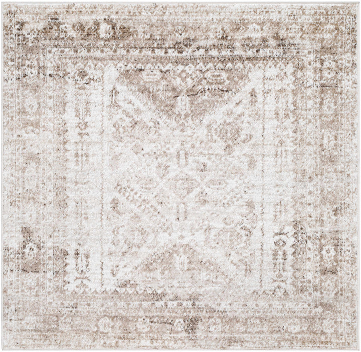 Gali Traditional Distress Brown And Ivory Rug