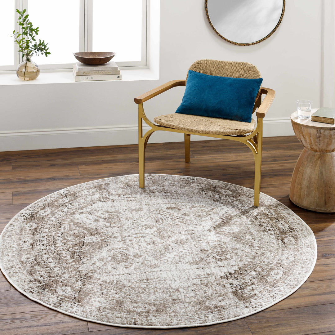 Gali Traditional Distress Brown And Ivory Rug