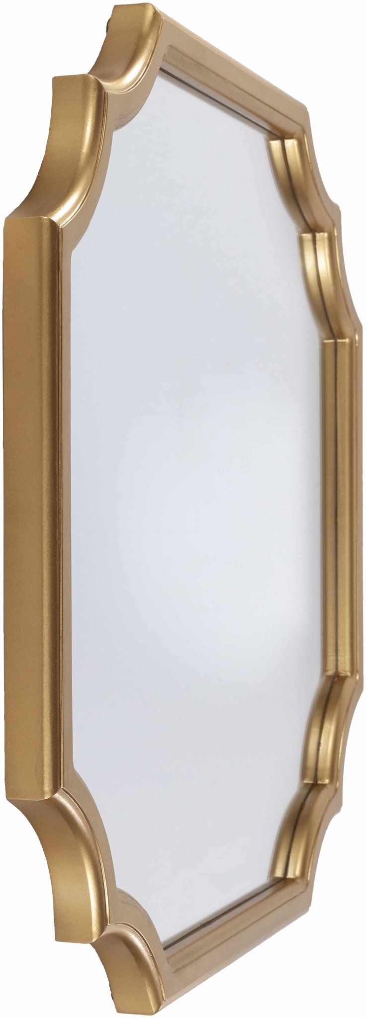 Golden Framed Modern Specialty shaped wall Hanging Mirror - The Rug Decor
