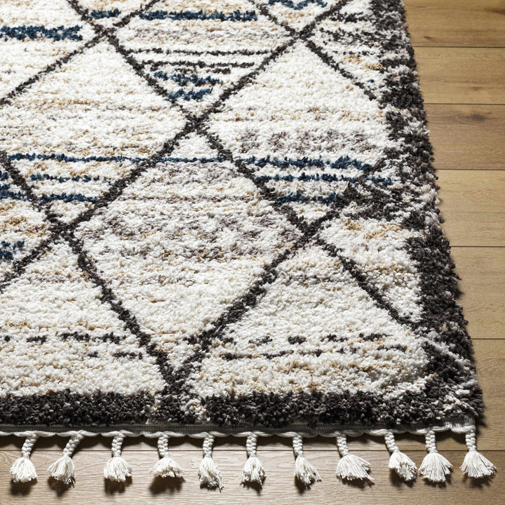 Gomez Bohemian Style Beige Area Rug - The Rug Decor