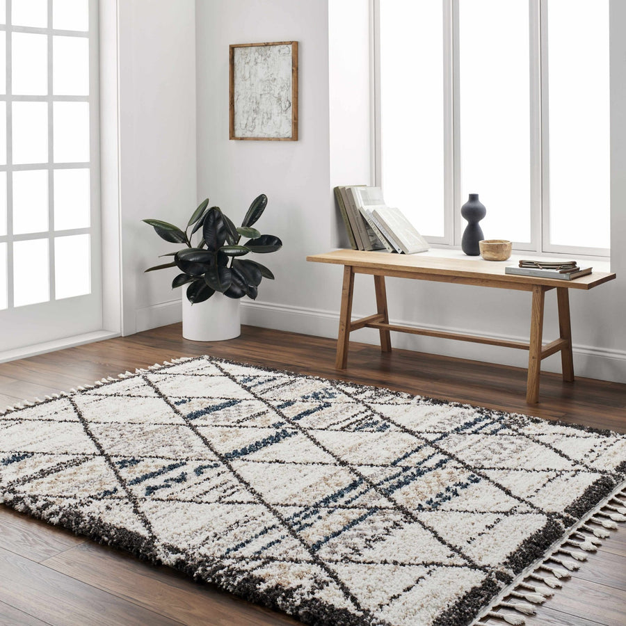 Gomez Bohemian Style Beige Area Rug - The Rug Decor
