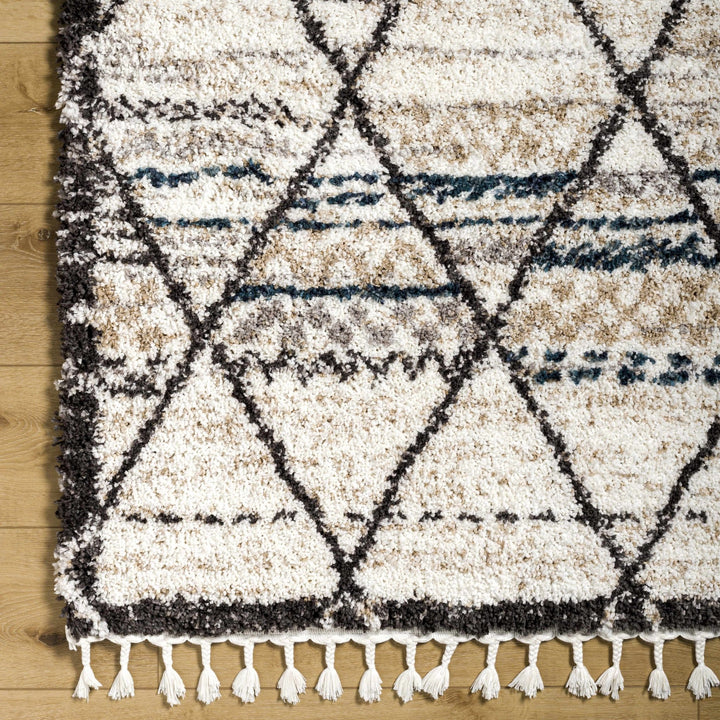 Gomez Bohemian Style Beige Area Rug - The Rug Decor